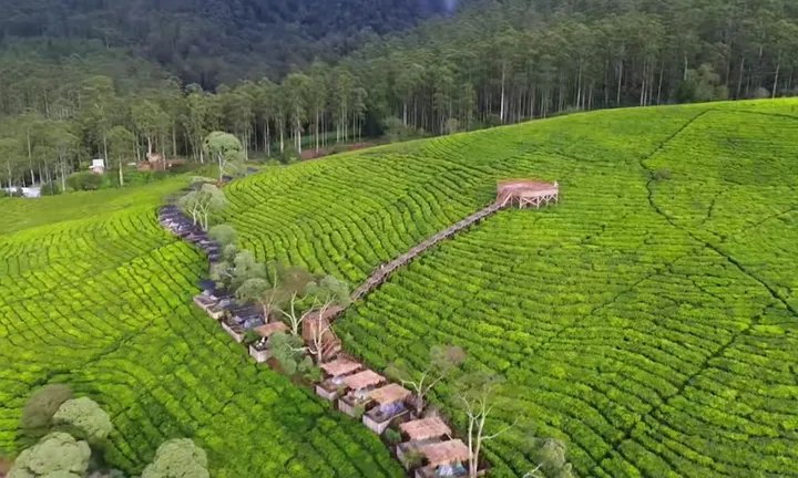 Pemandangan Alam Puncak