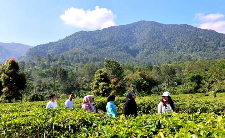 Agrowisata Puncak